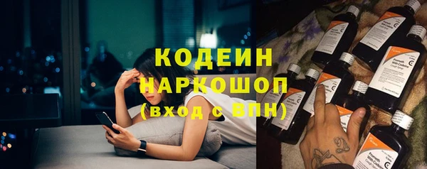 хмурый Абаза
