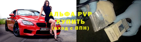 хмурый Абаза
