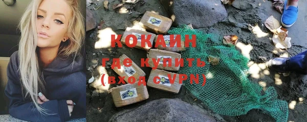 хмурый Абаза