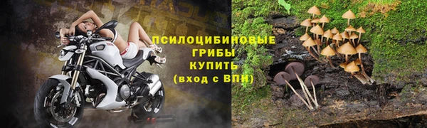 а пвп мука Осинники