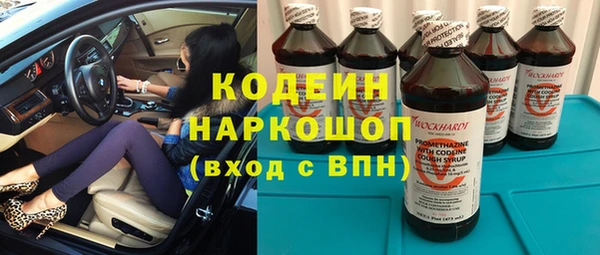 гашик Осташков