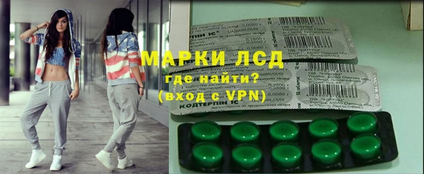 гашик Осташков