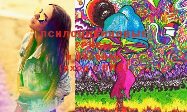 гашик Осташков